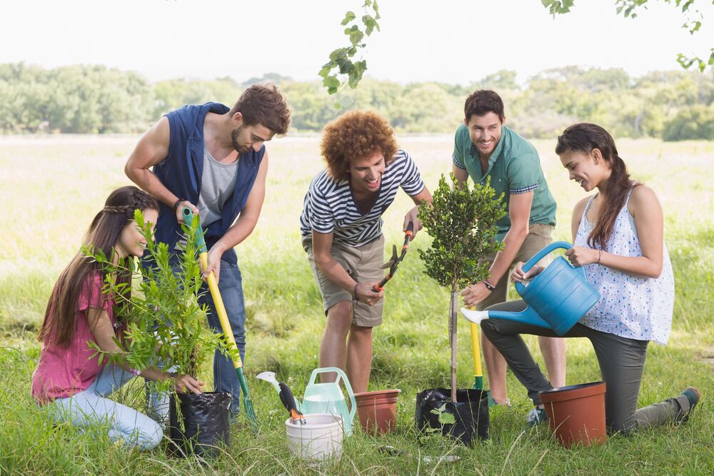 verschiedene-formen-gruenen-therapie-ueberblick